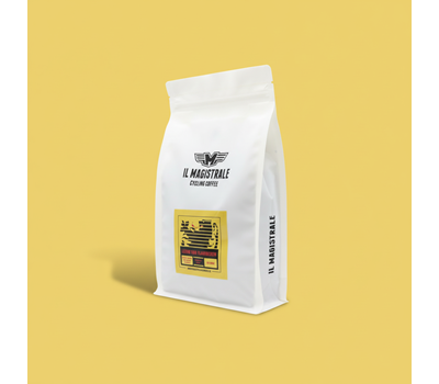 Leeuw van Vlaanderen